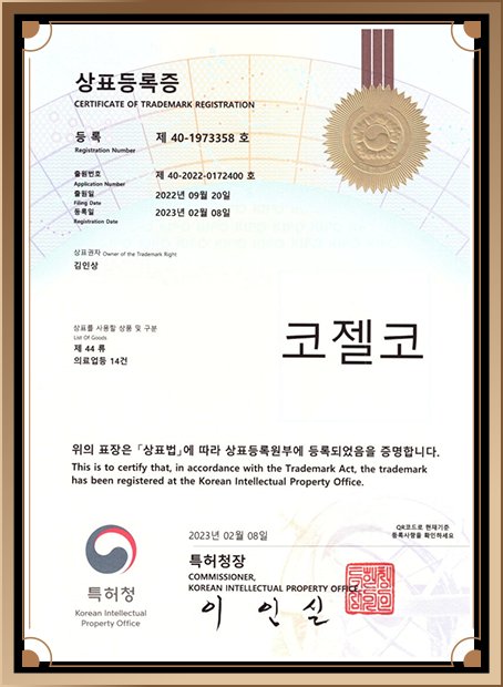 1:1 전담 진료 코성형 성형외과